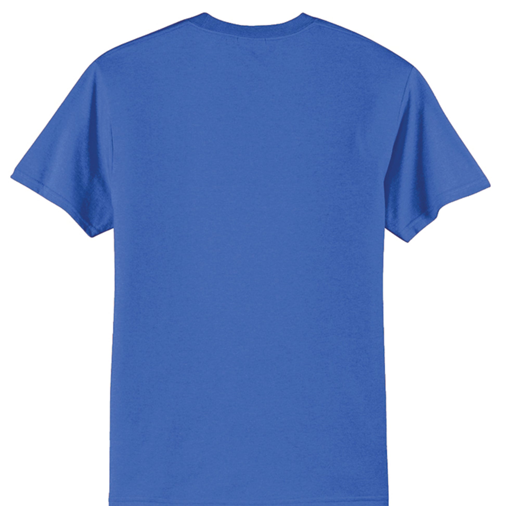Royal blue T-shirt, plain back with crew neck and short sleeves.