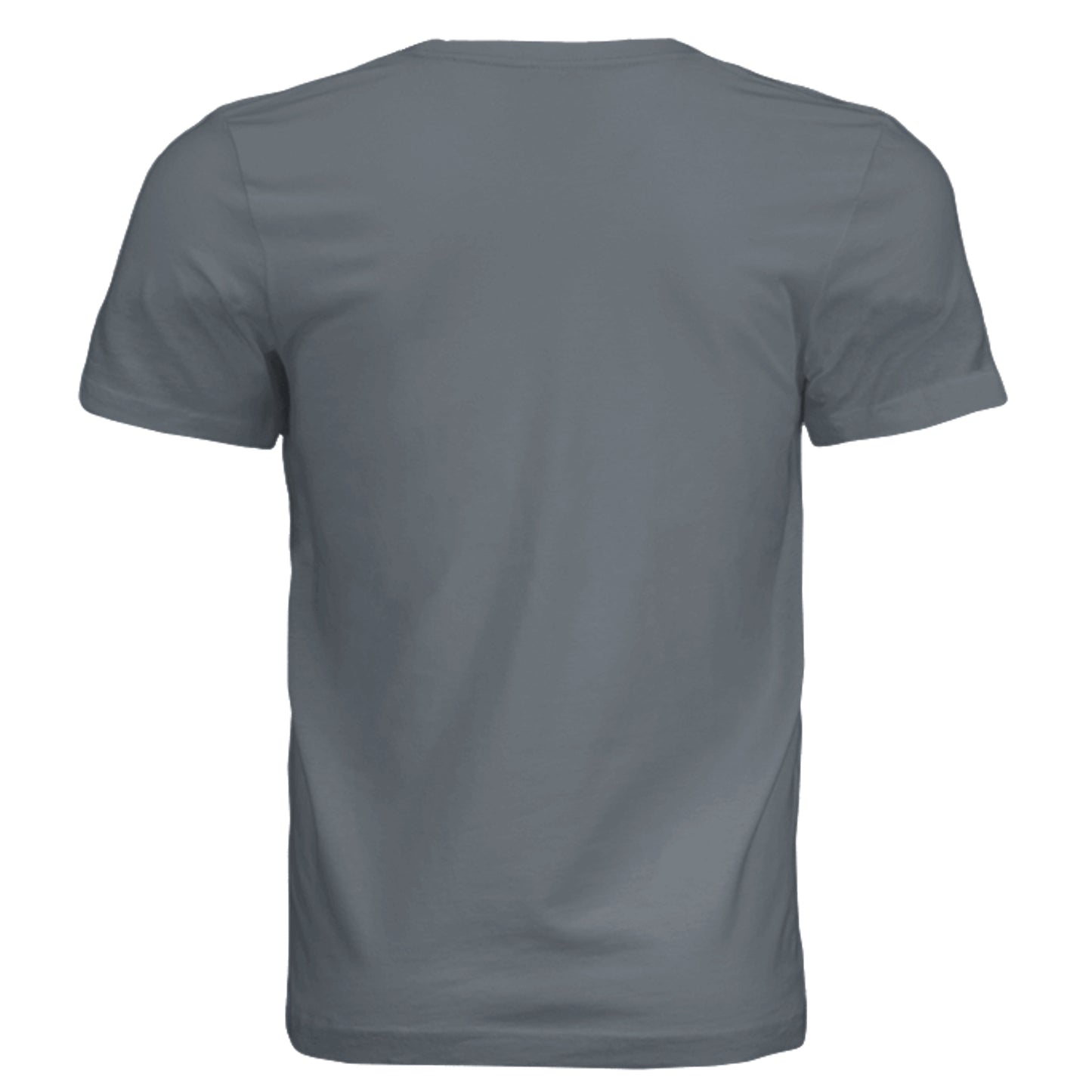 Slate gray unisex tri-blend T-shirt, plain back view.