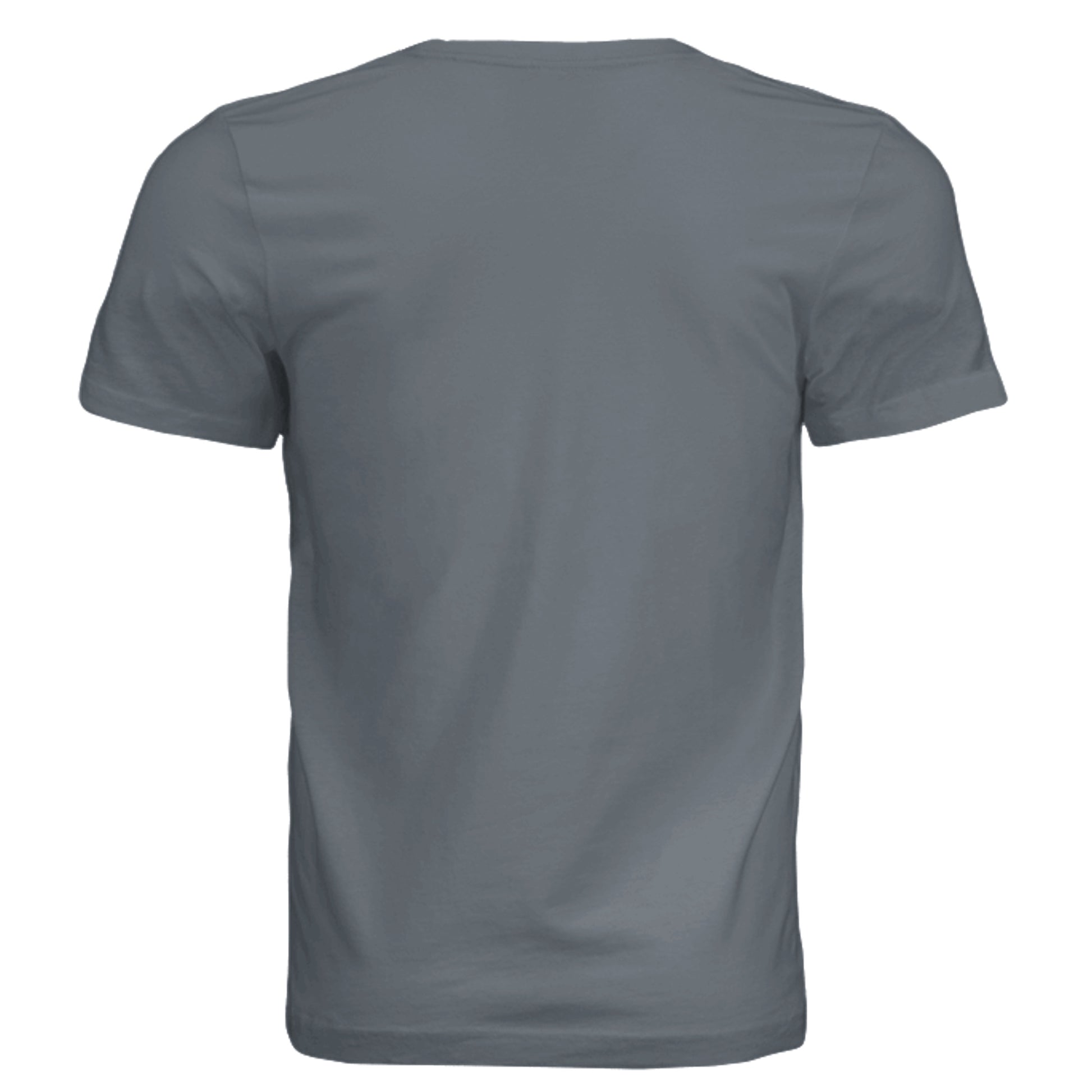 Slate gray unisex tri-blend T-shirt, plain back view.